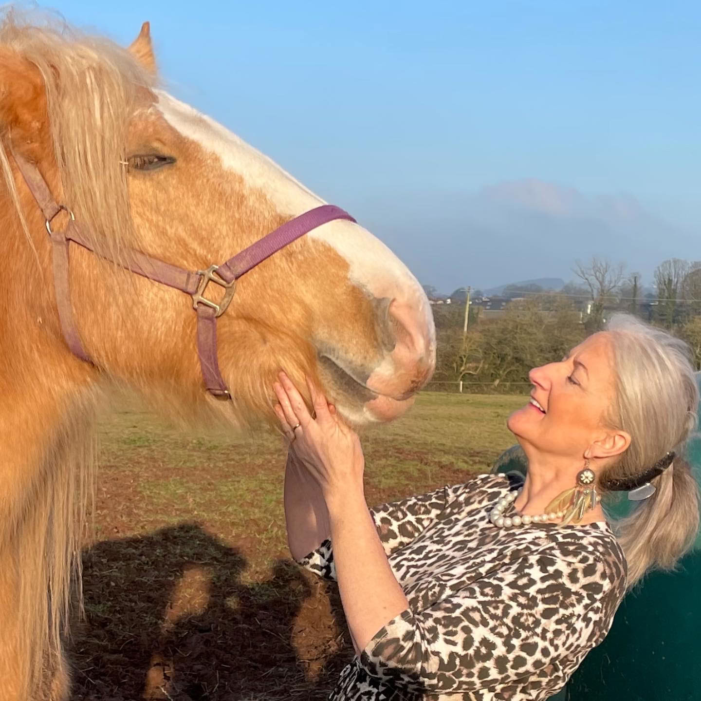 Stap in het partnerschap met de paarden