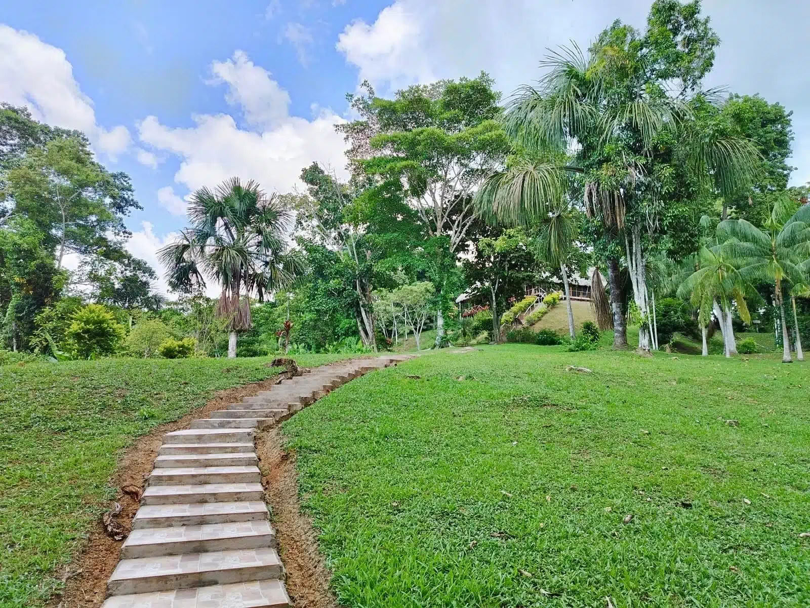 5-daagse ayahuasca- en san pedro-retreat