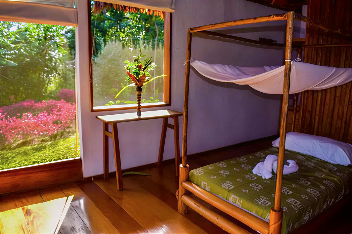 5-daagse ayahuasca- en san pedro-retreat