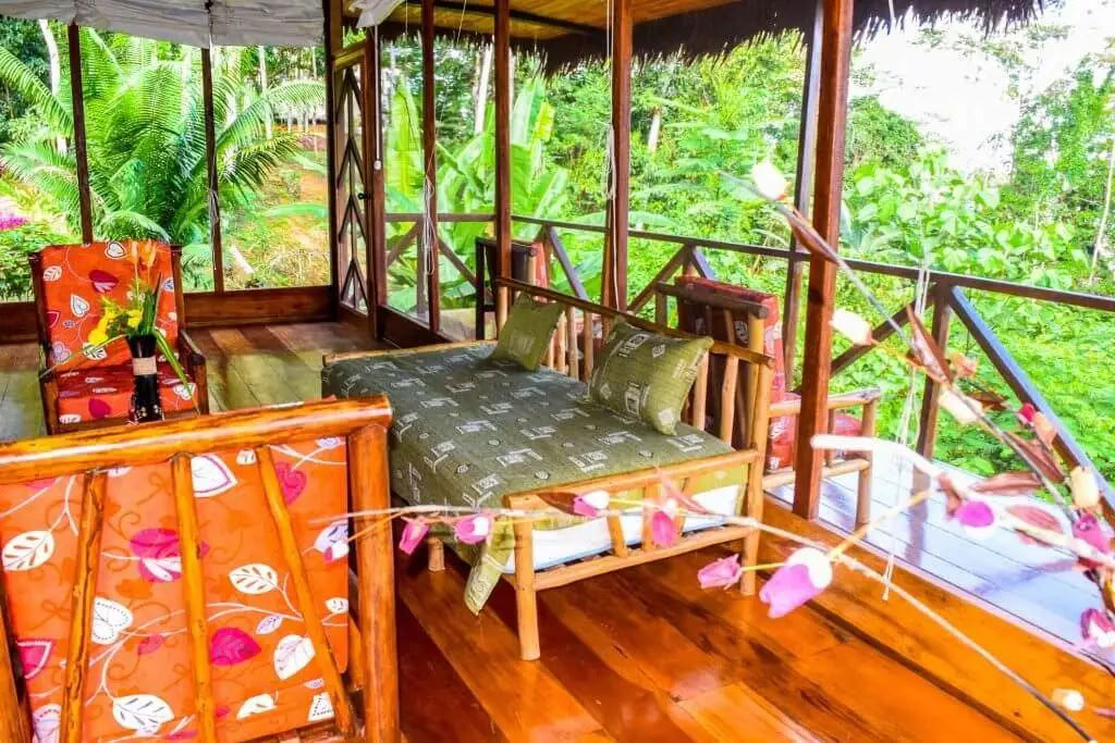 5-daagse ayahuasca- en san pedro-retreat