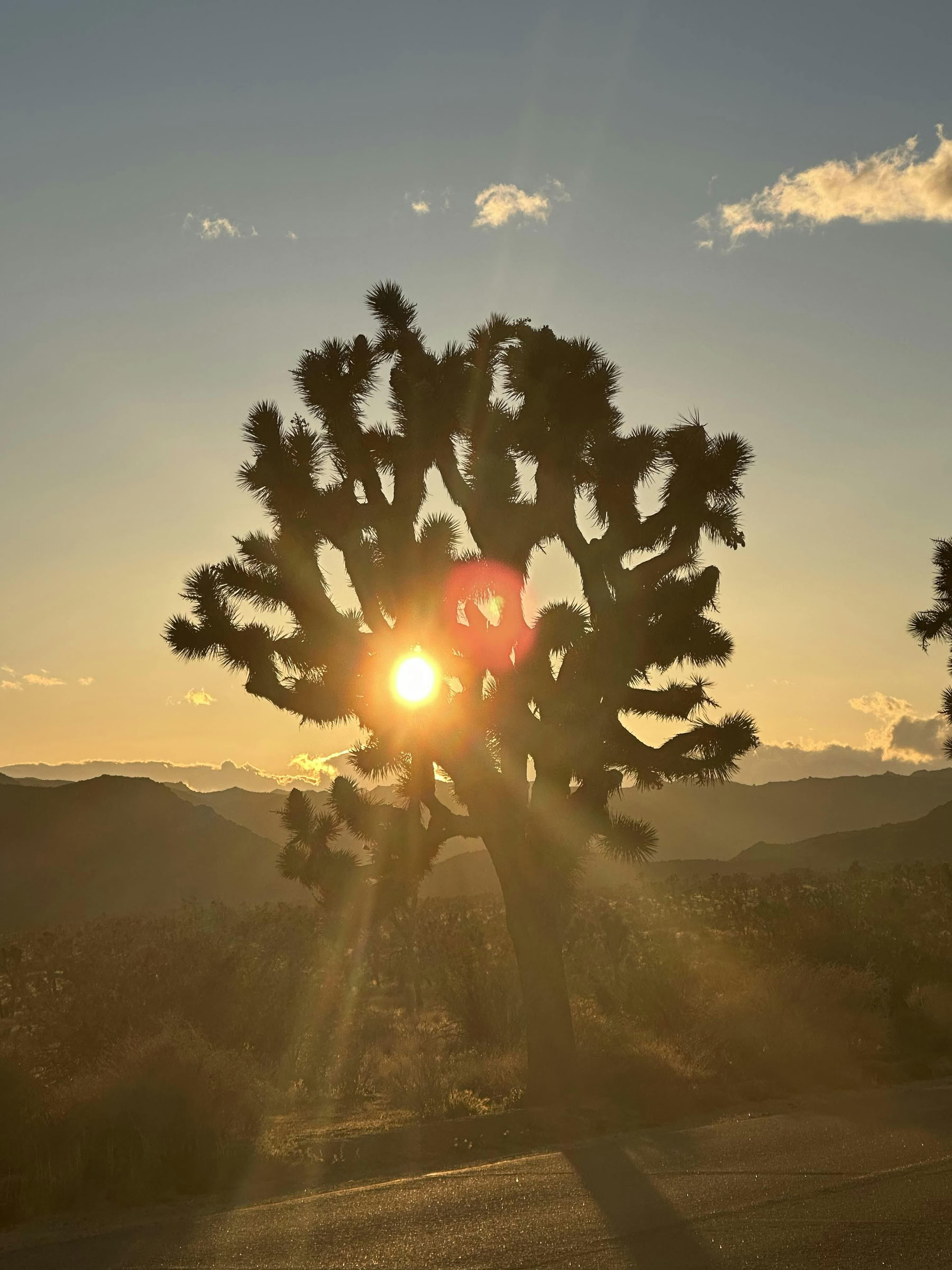 Woestijn helende ademwerkervaring - Palm Springs