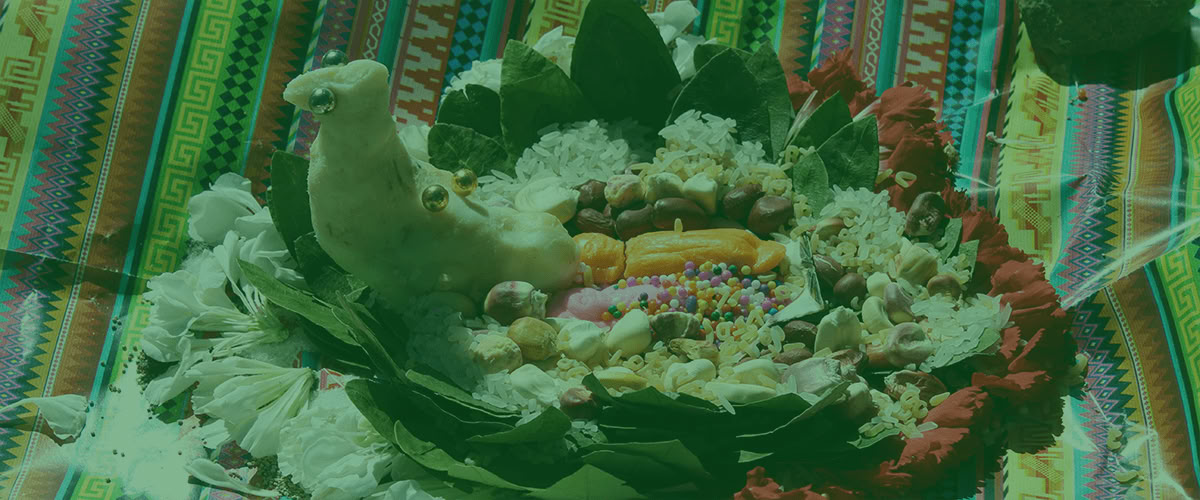 Genezende weg naar de zon