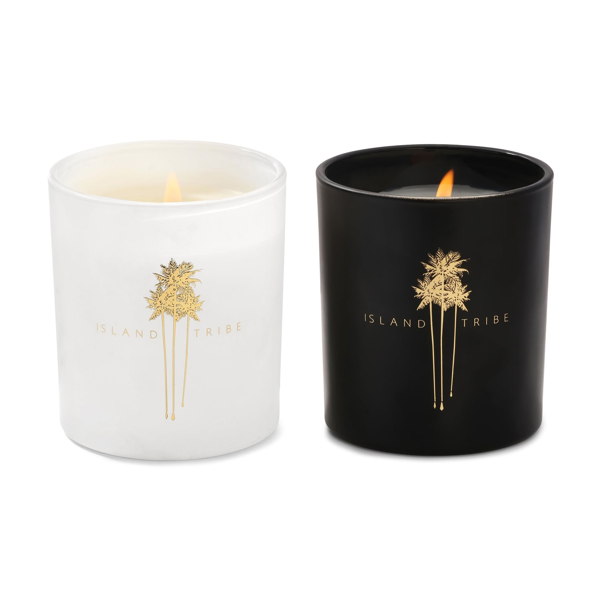 Bloemenkroonworkshop - Palm Springs