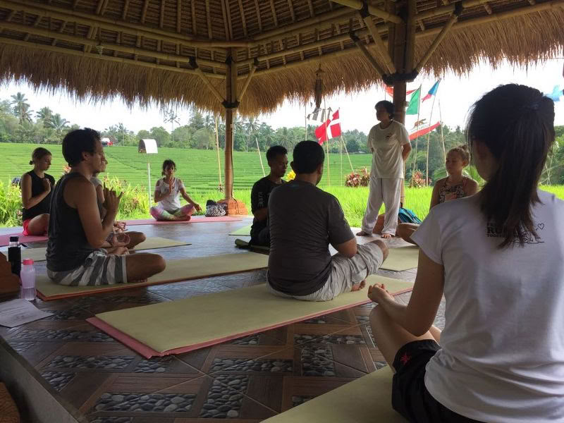 BALIGRASS - Zelfgenezing met het Oude & Meditatie