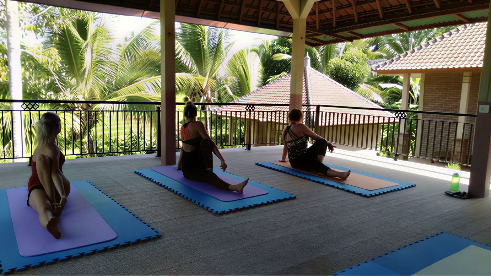 BALIGRASS - Zelfgenezing met het Oude & Meditatie