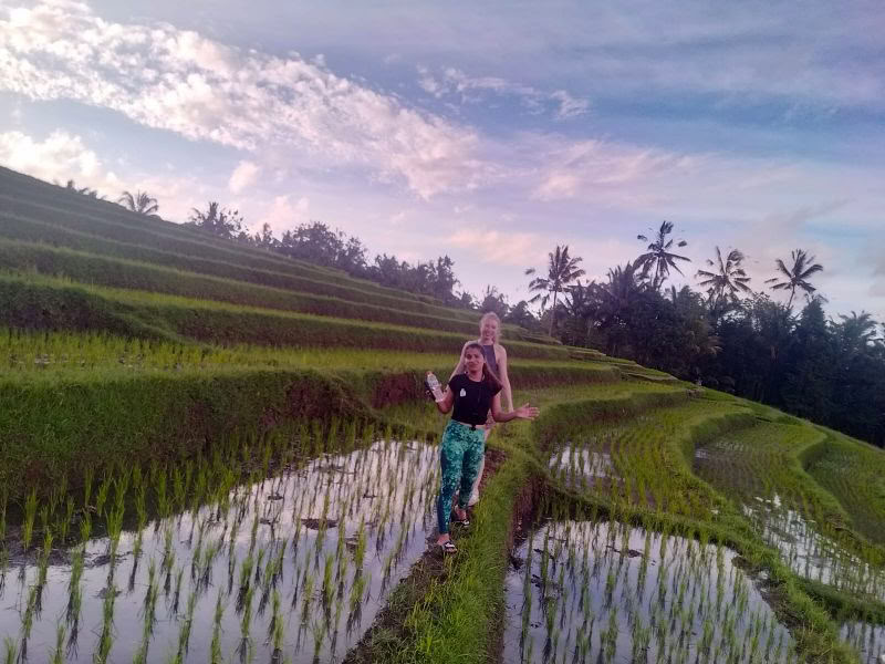 BALIGRASS - Zelfgenezing met het Oude & Meditatie