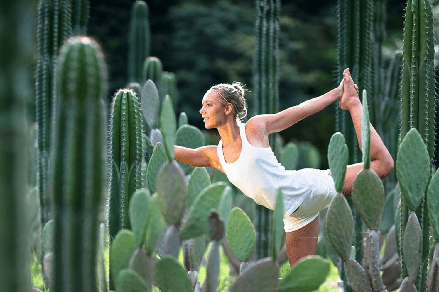 Zuiverings- en detoxretreat