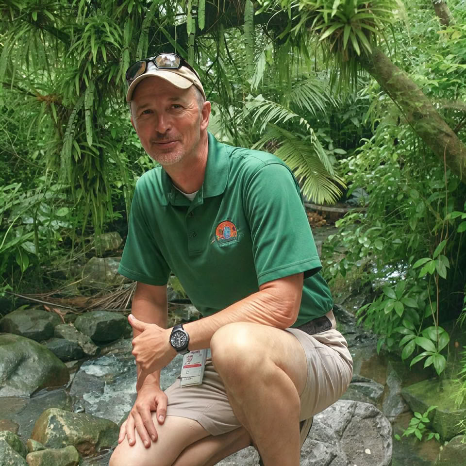 Nachtwandeling door het regenwoud van El Yunque