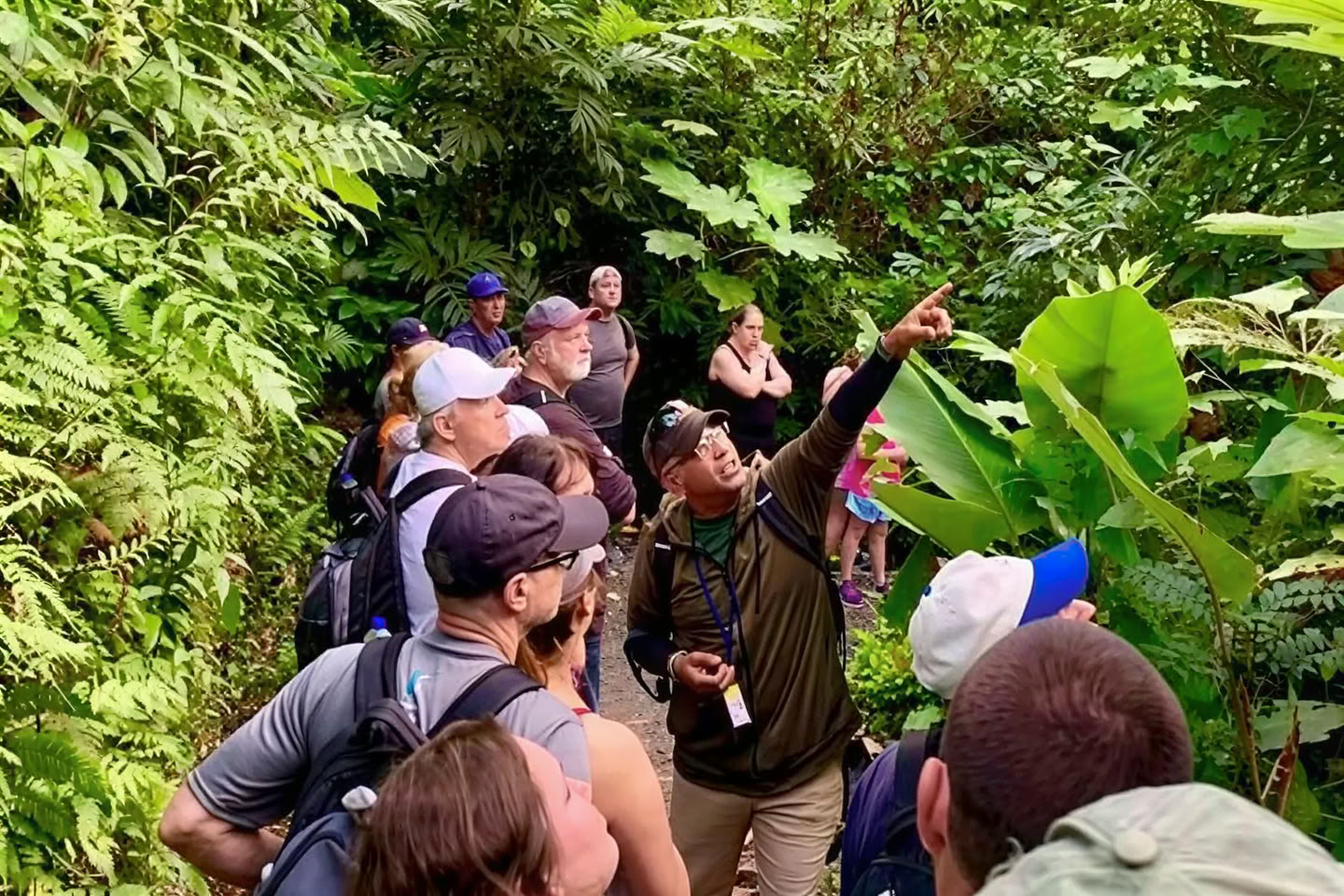 Wilde en Schilderachtige Wandeltocht door het Regenwoud naar een Avontuur aan de Rivier