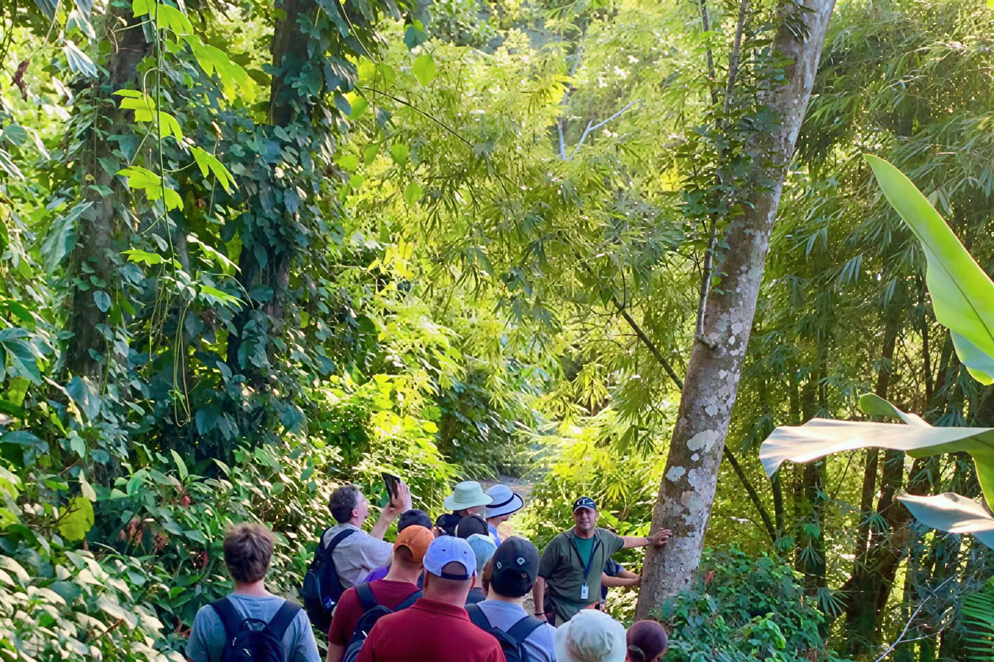 Wilde en Schilderachtige Wandeltocht door het Regenwoud naar een Avontuur aan de Rivier