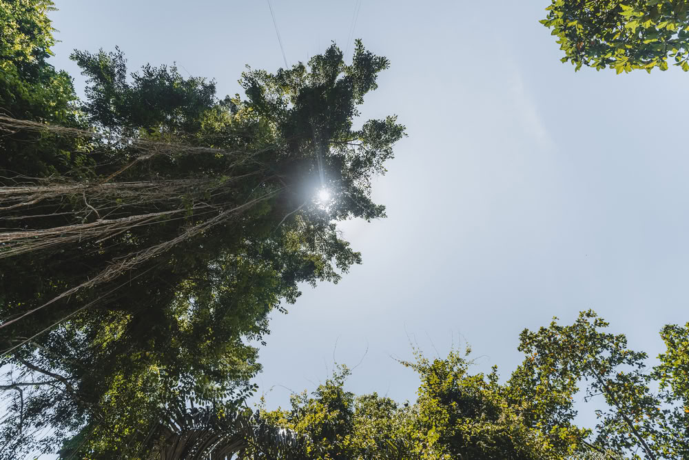 200 uur yogadocentenopleiding op Bali, Amertham