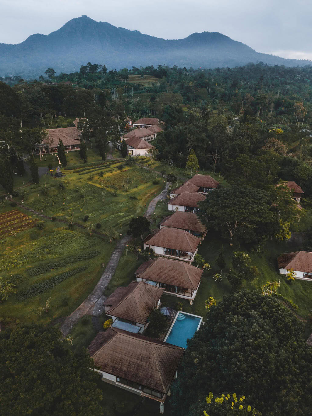 Meditatieleraarstraining op Bali, Pelaga