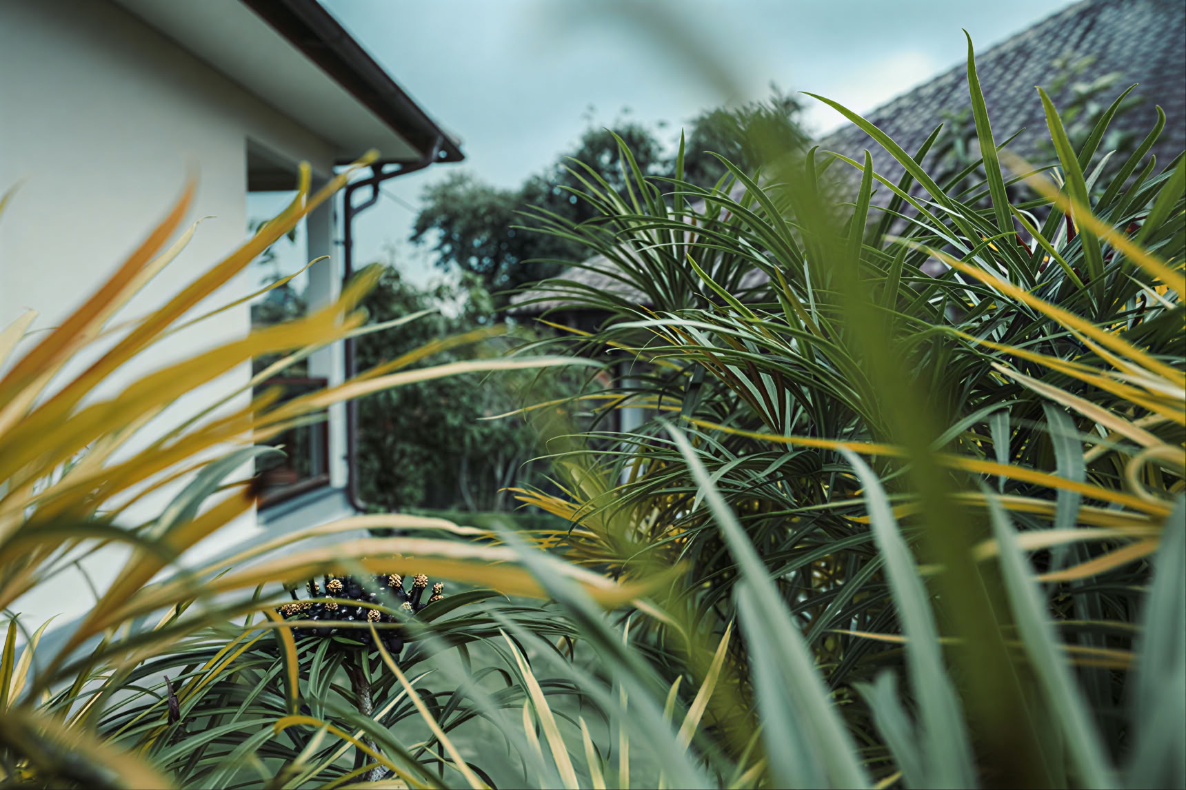 200-uurs YTT in Pelaga, Bali – 26 okt. – 14 nov. 2026