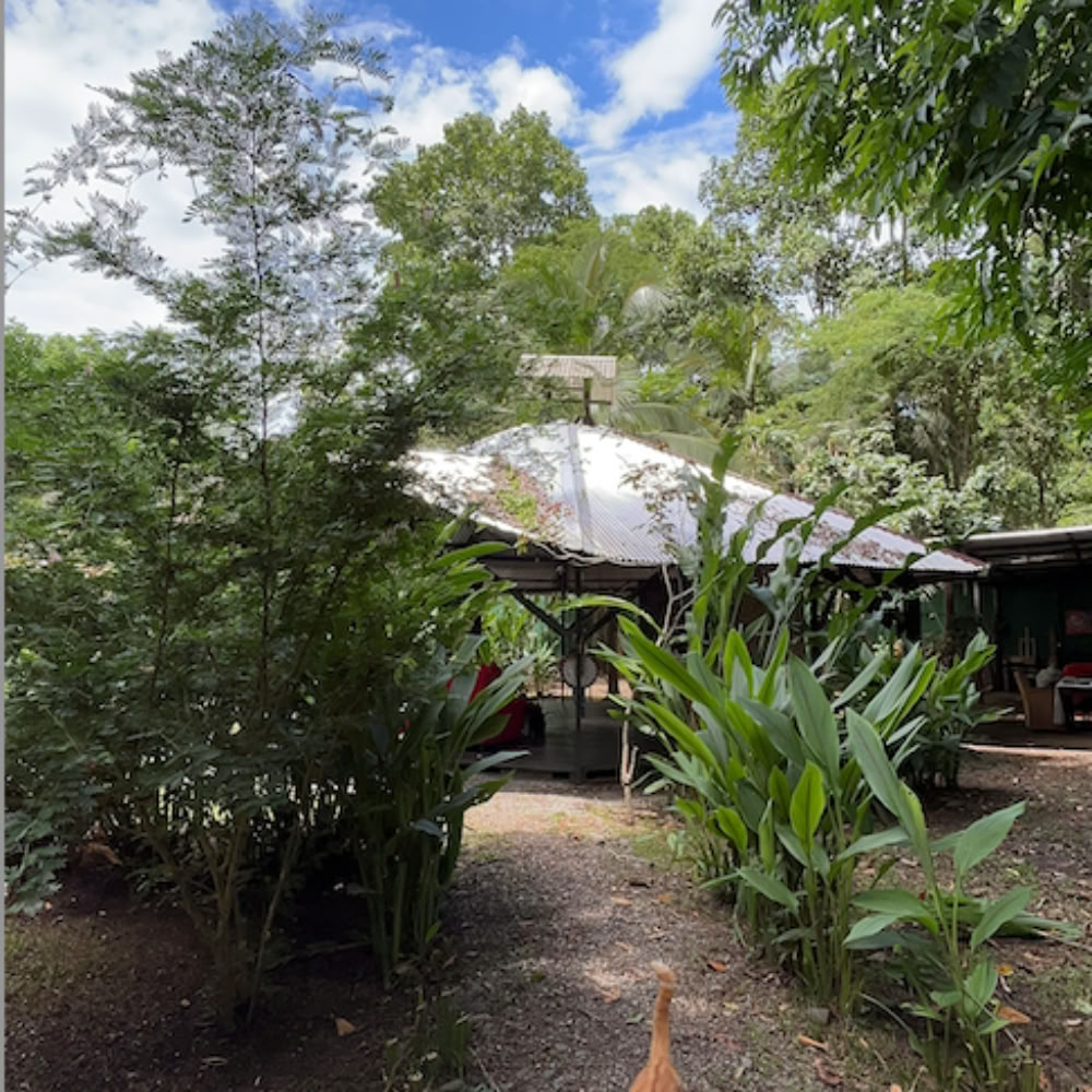 Thuisheiligdom Ayahuasca-retreat – 21-28 november