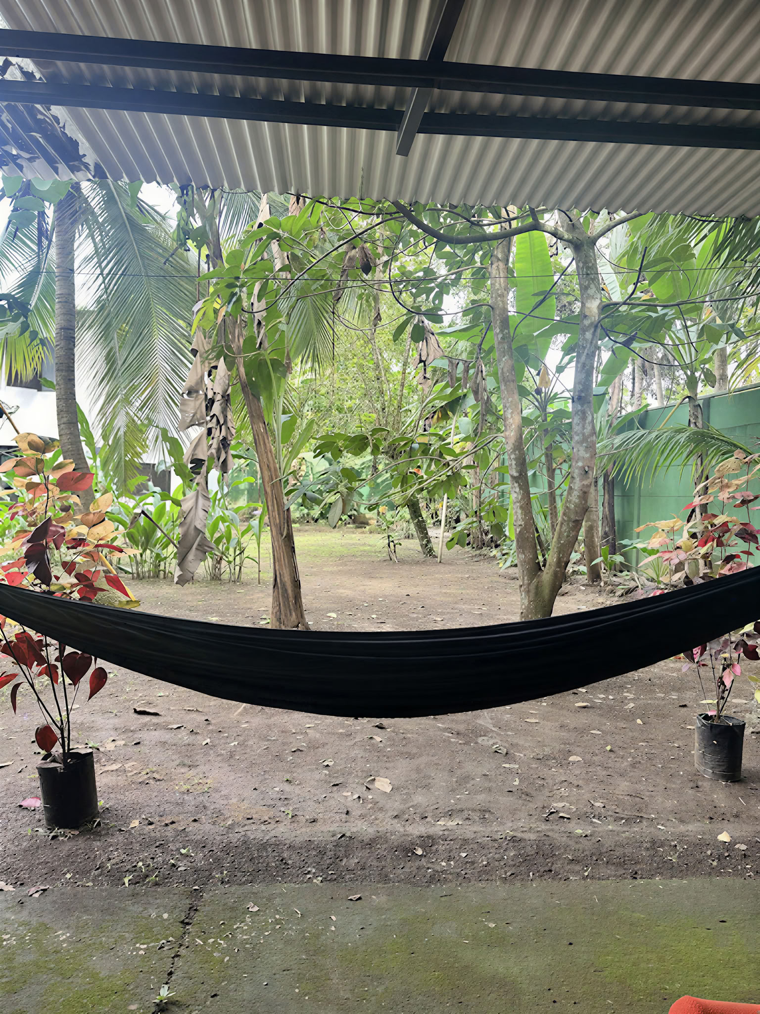 Thuisheiligdom Ayahuasca-retreat – 21-28 november