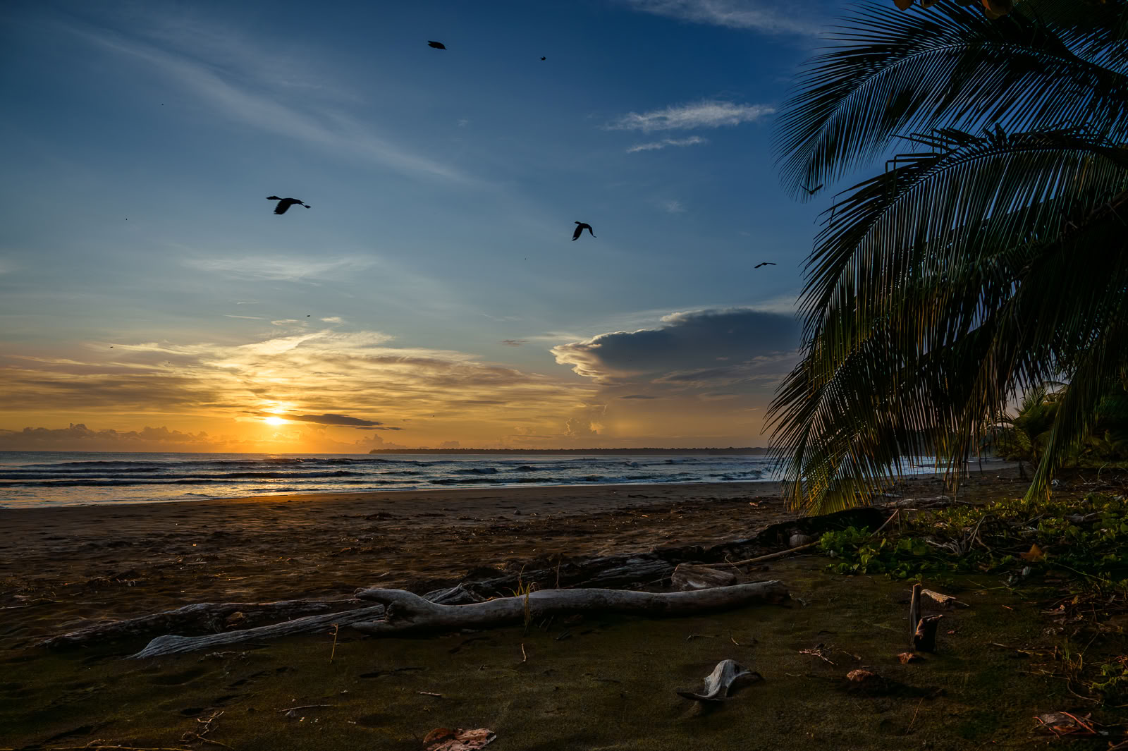 Thuisheiligdom Ayahuasca-retreat – 21-28 november