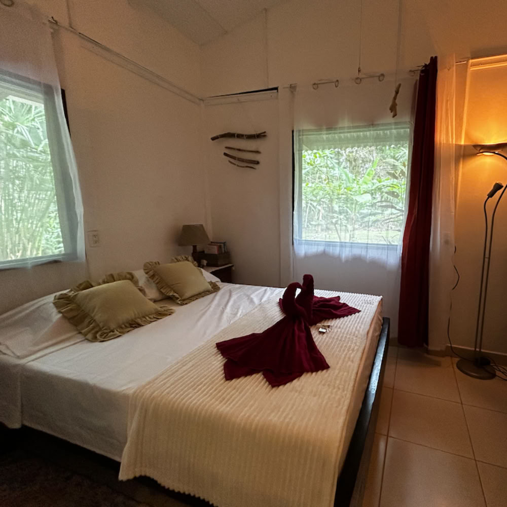 Thuisheiligdom Ayahuasca Retraite – 5 - 12 december