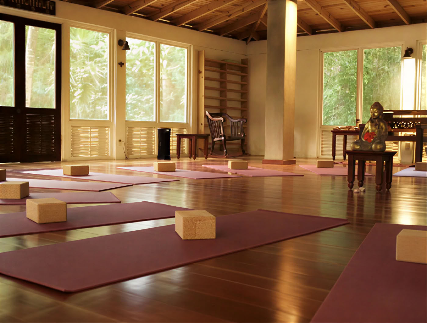 6-daags psilocybine-retreatprogramma