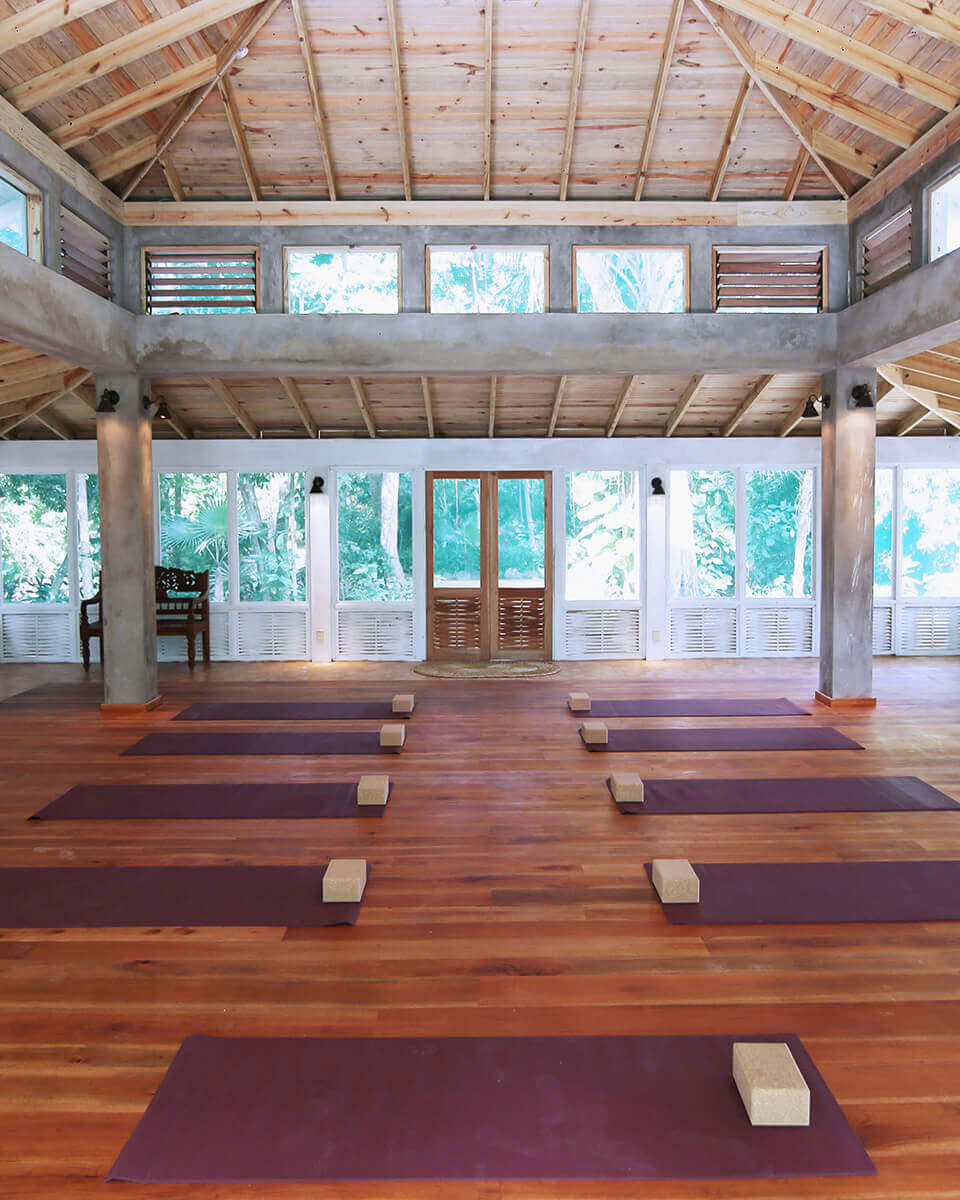 6-daags psilocybine-retreatprogramma