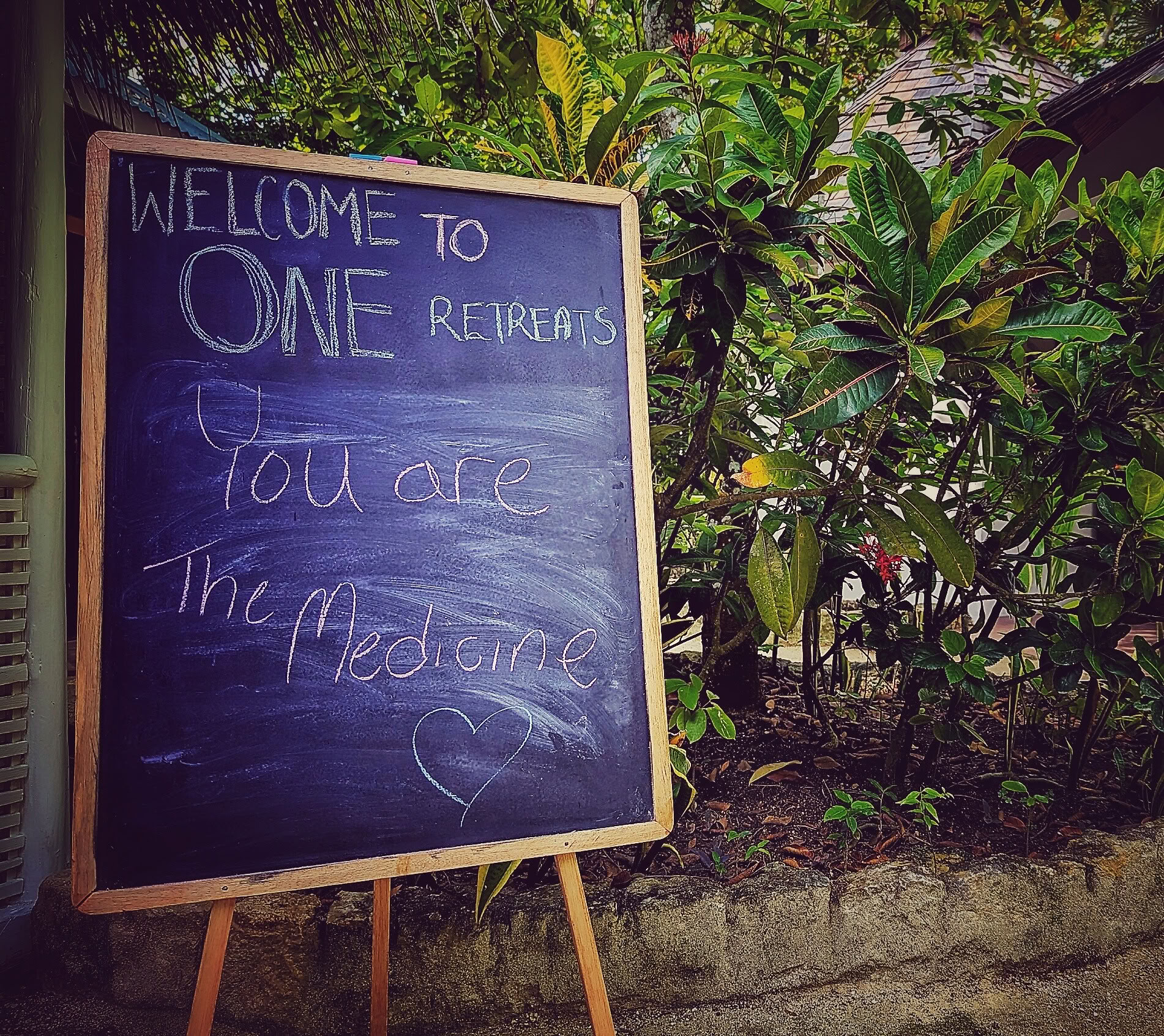 6-daags psilocybine-retreatprogramma