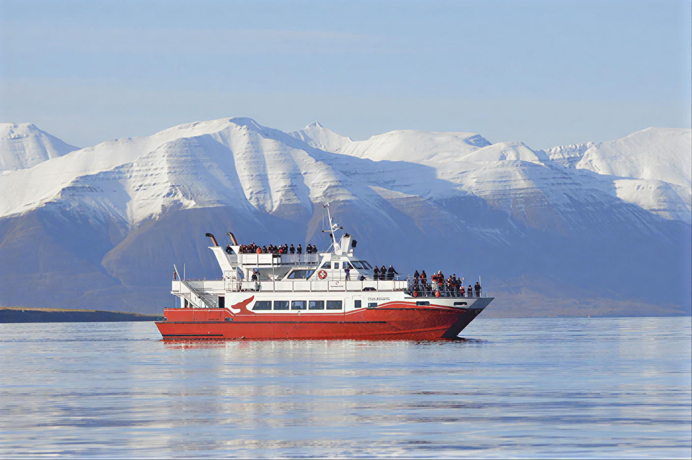 Walvissen spotten in Akureyri