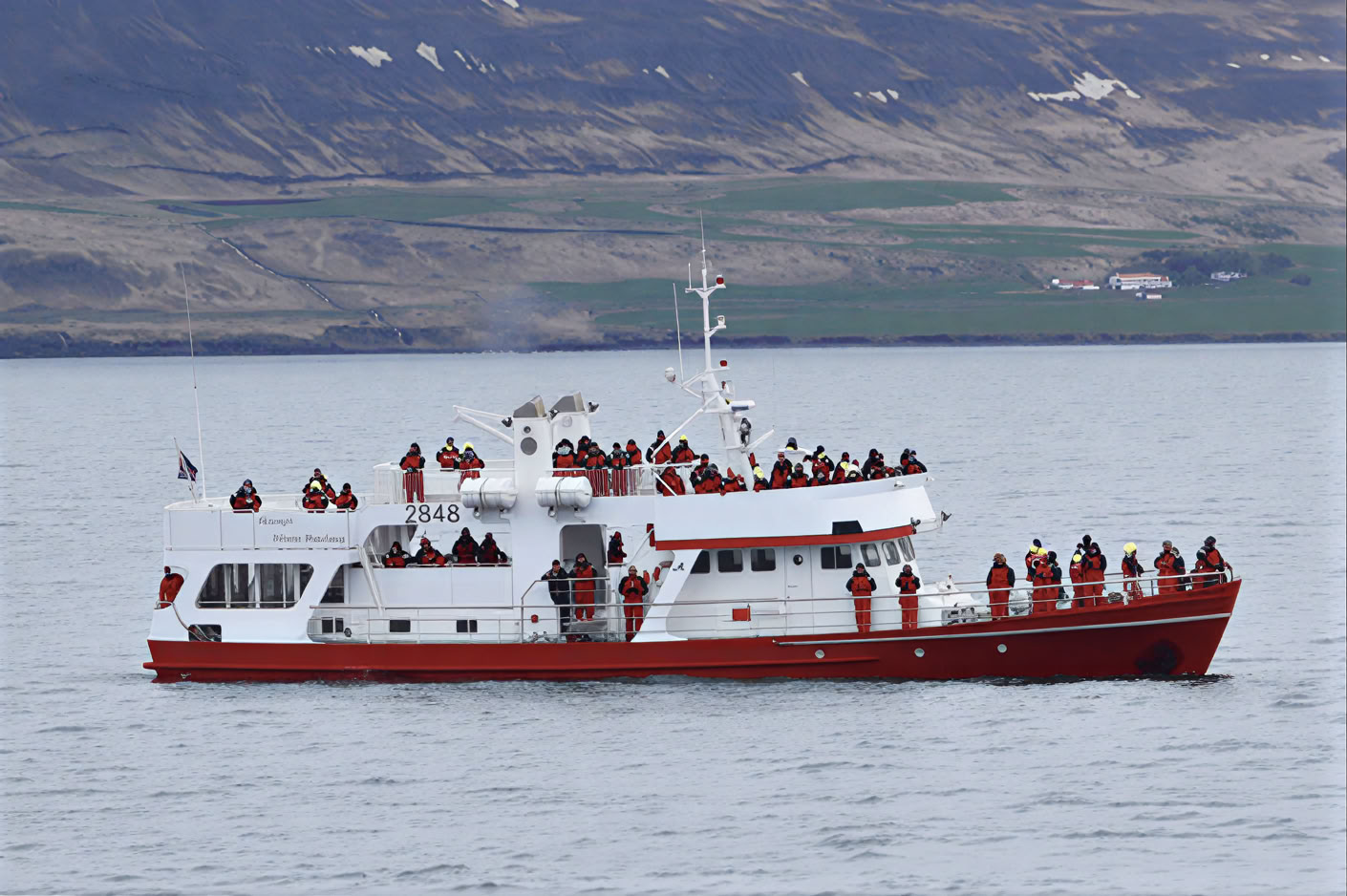 Walvissen spotten in Akureyri
