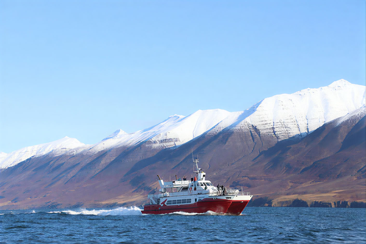 Walvissen spotten in Akureyri