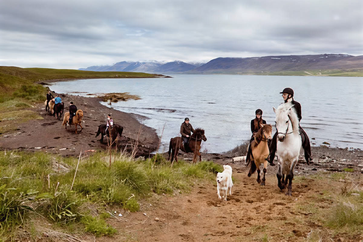 Cruise naar het noorderlicht in Akureyri