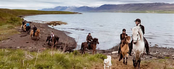 Cruise naar het noorderlicht in Akureyri