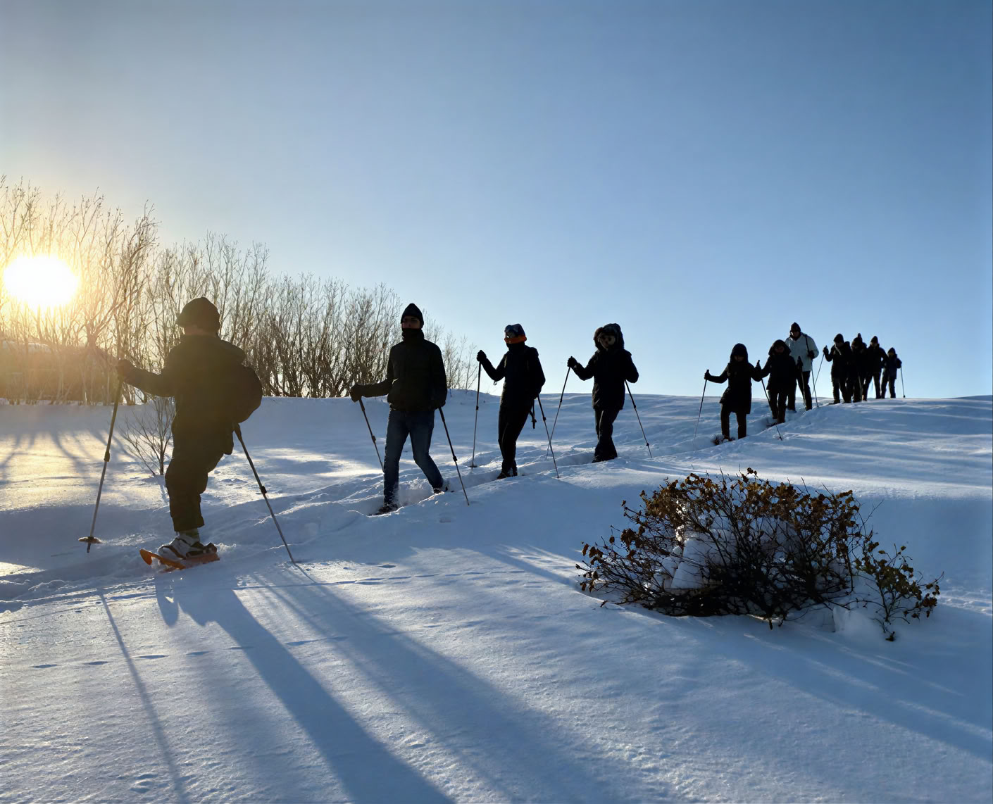 Yoga-retraite onder het noorderlicht in IJsland – data winter 2026