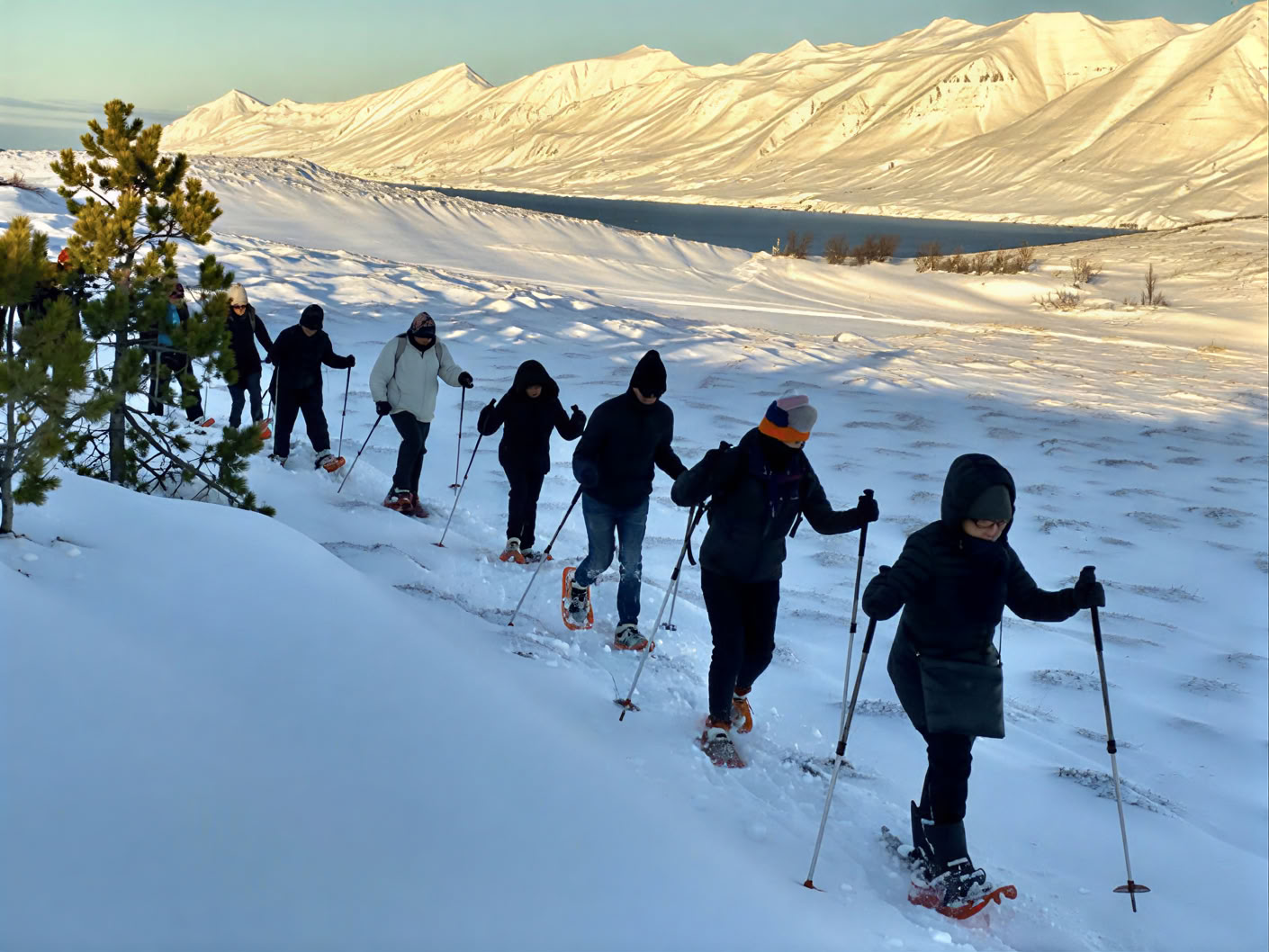 Yoga-retraite onder het noorderlicht in IJsland – data winter 2026
