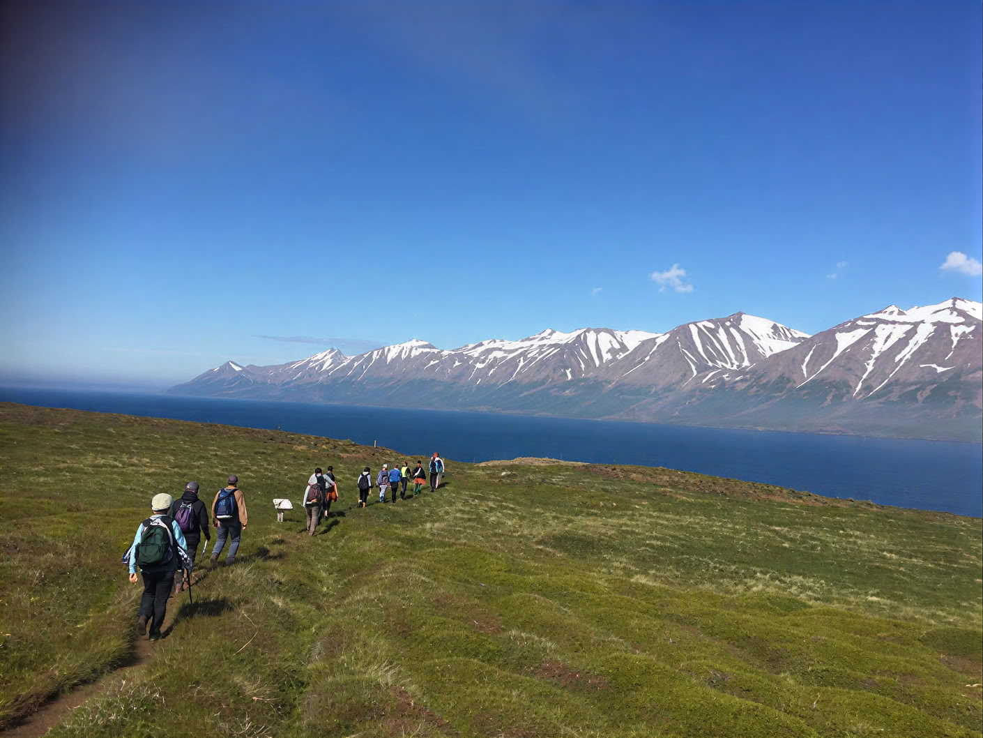 Yoga- en wandelretreat onder de middernachtzon in IJsland – Data 2026