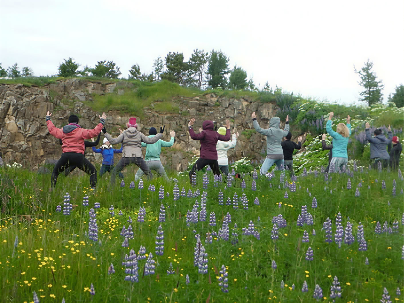 Yoga- en wandelretreat onder de middernachtzon in IJsland – Data 2026