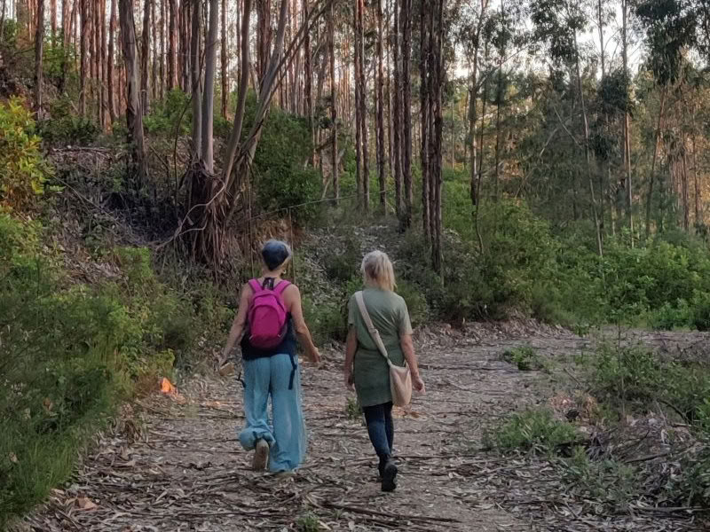 De Feniks Verrezen - Een Vision Quest-Retreat