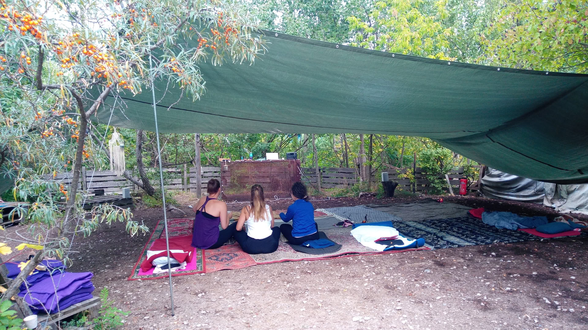 Wild Breathwork Berlijn – Ademwerkreis onder de open hemel
