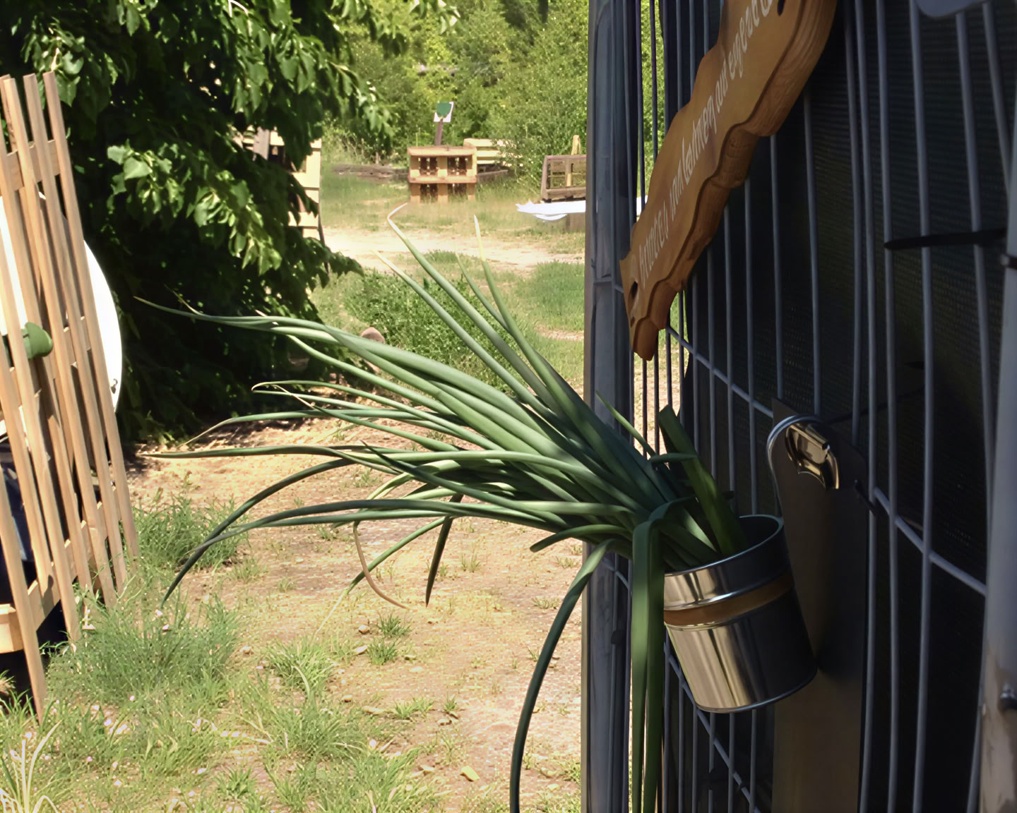 Wild Breathwork Berlijn – Ademwerkreis onder de open hemel