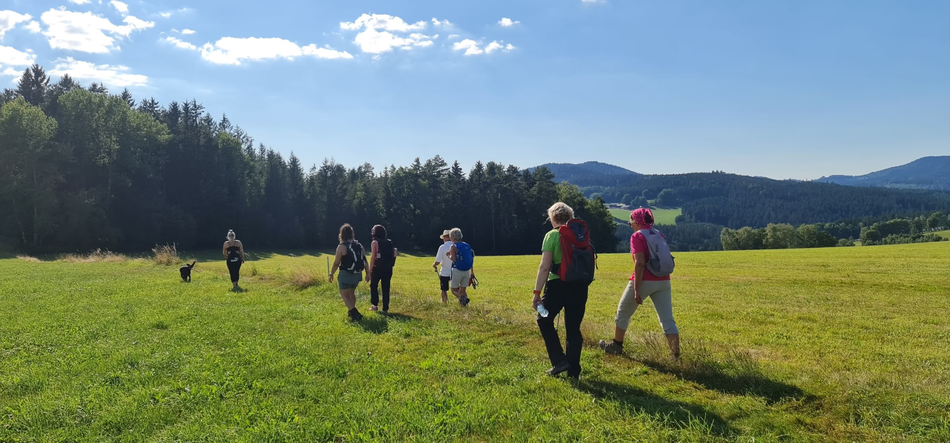 Vastencursus met wandelen en yoga