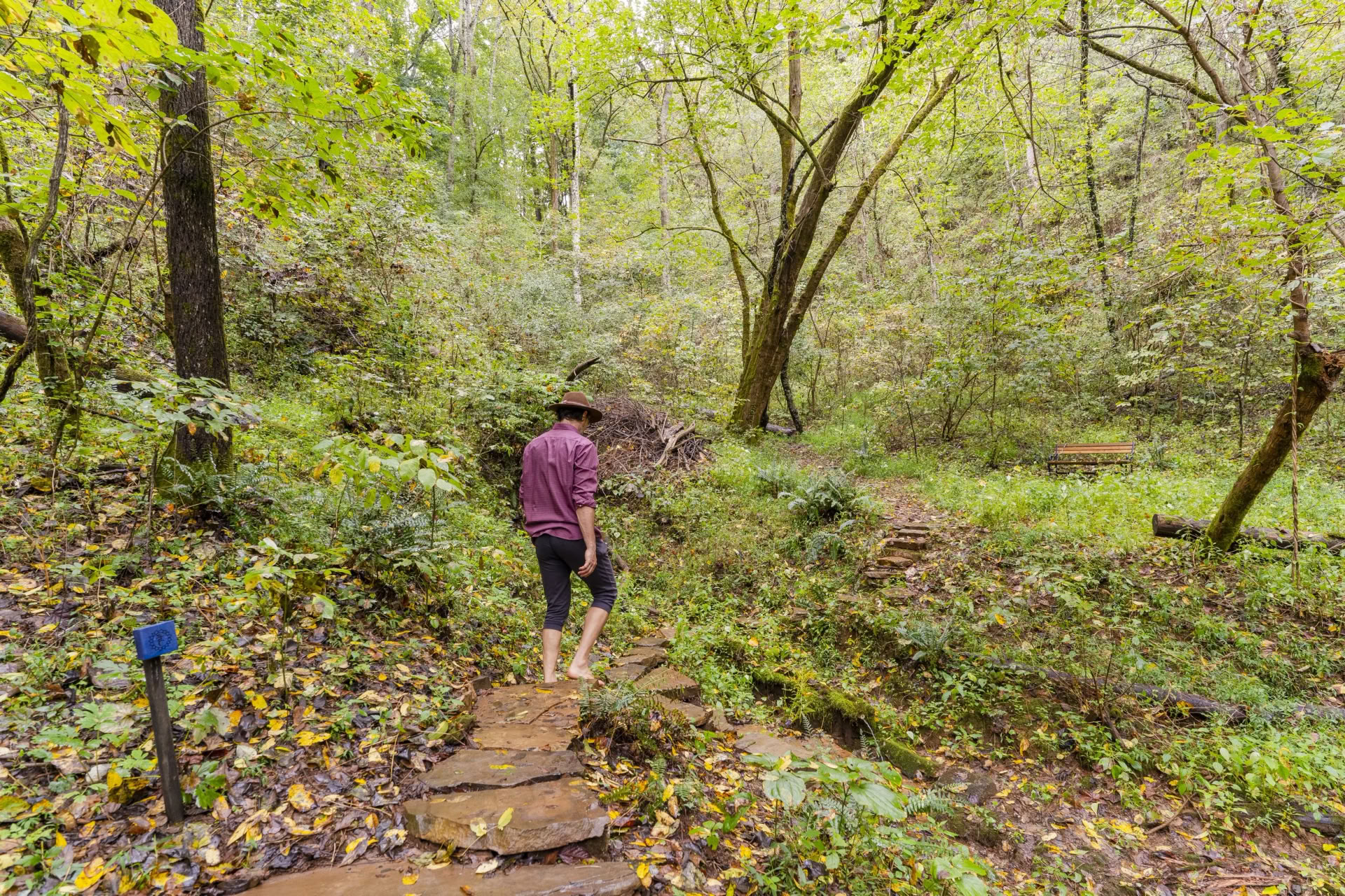 Yoga- en wandelretreat | Smoky Mountains-yogaretreat — Seven Springs