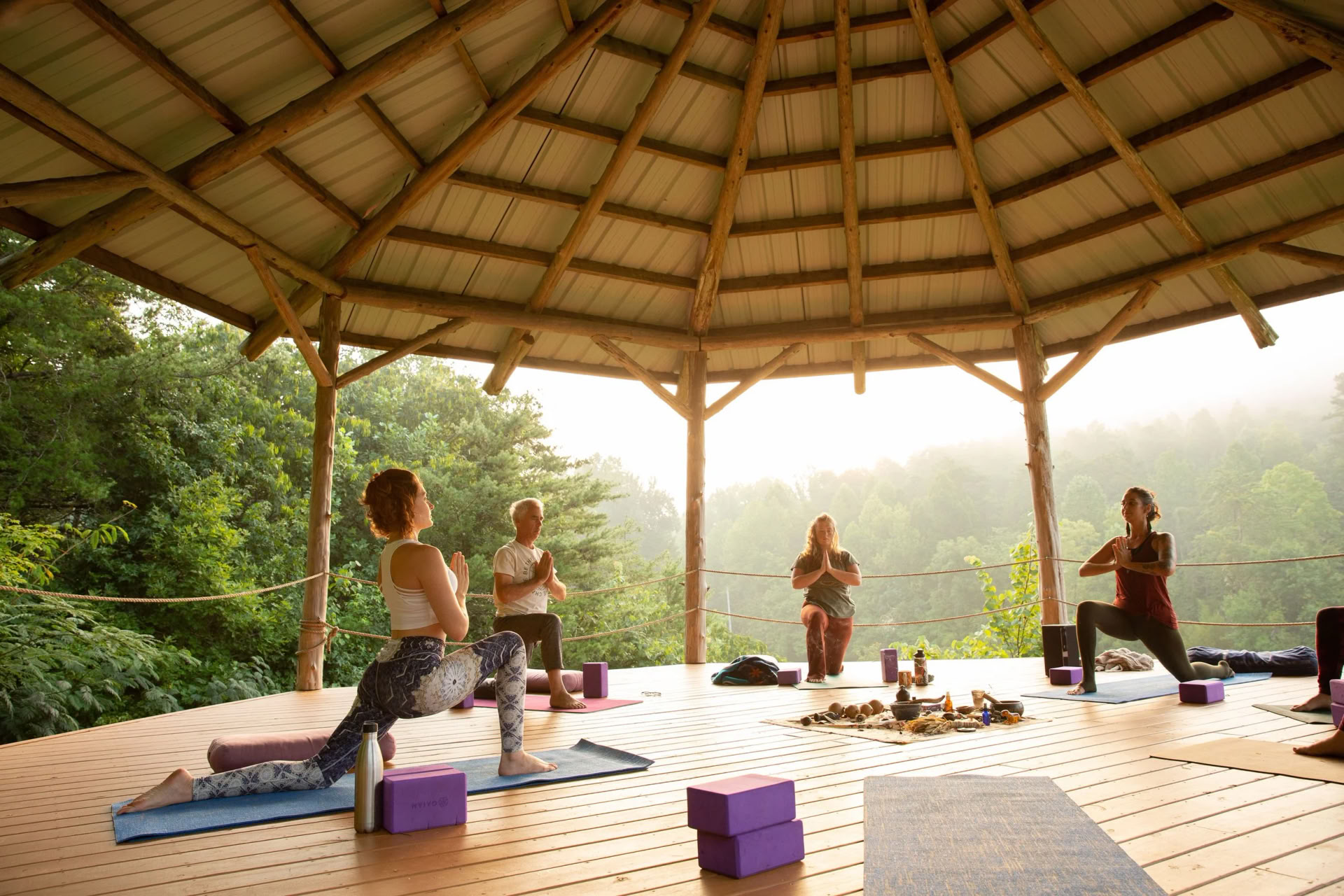 Yin- en somatische yogadocentenopleiding | Smoky Mountains — Seven Springs
