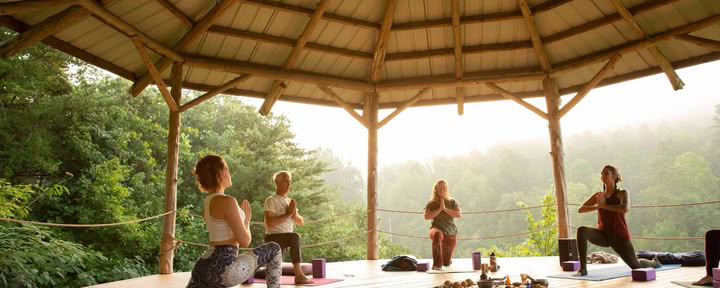 Yin- en somatische yogadocentenopleiding | Smoky Mountains — Seven Springs