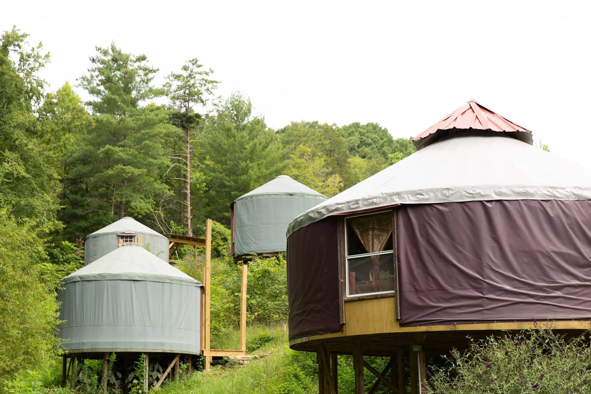 De bijeenkomst voor koppels in de Smoky Mountains