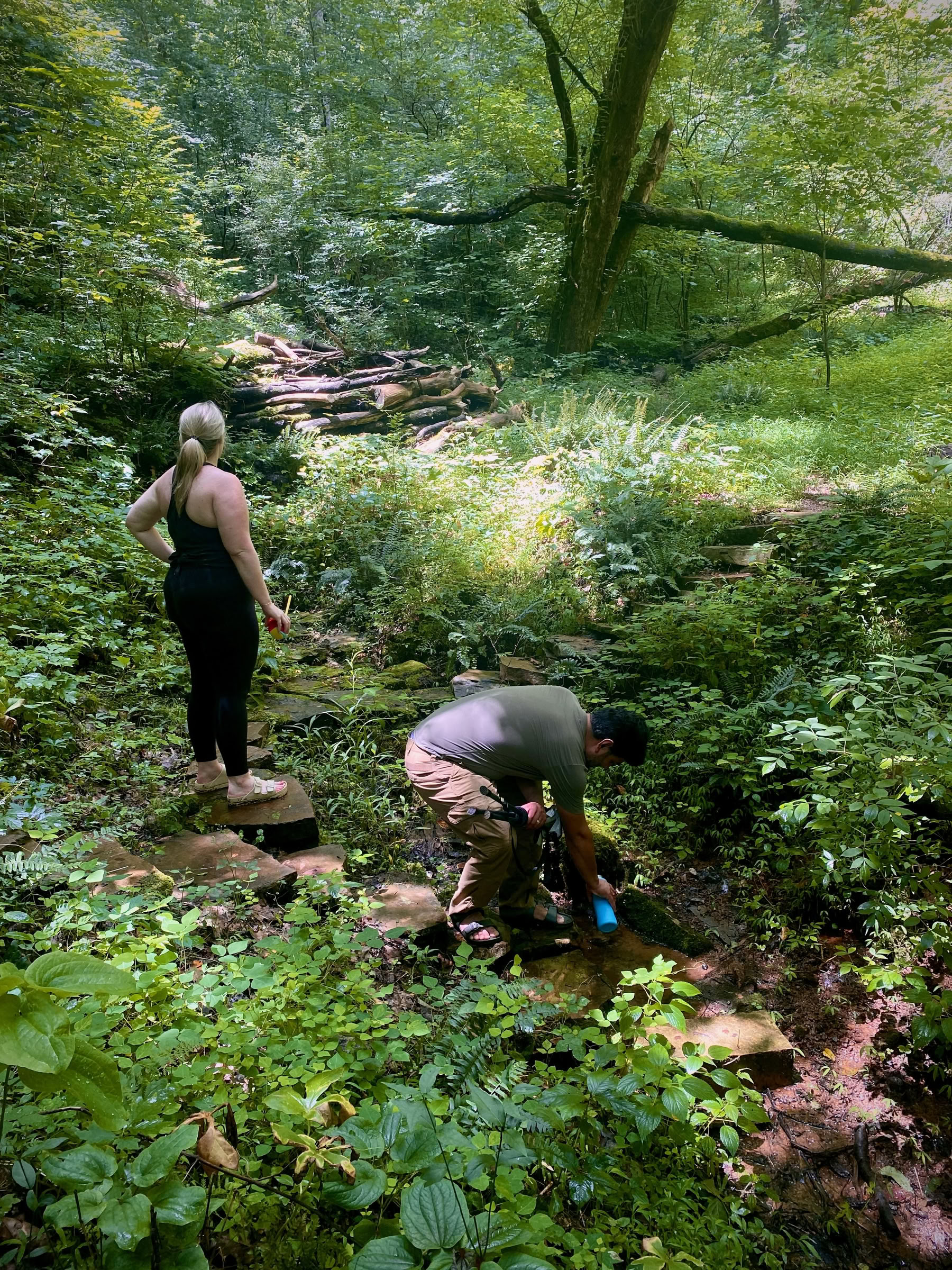 Wandelend het Pad: Labyrint- en Natuuropname-Retraite