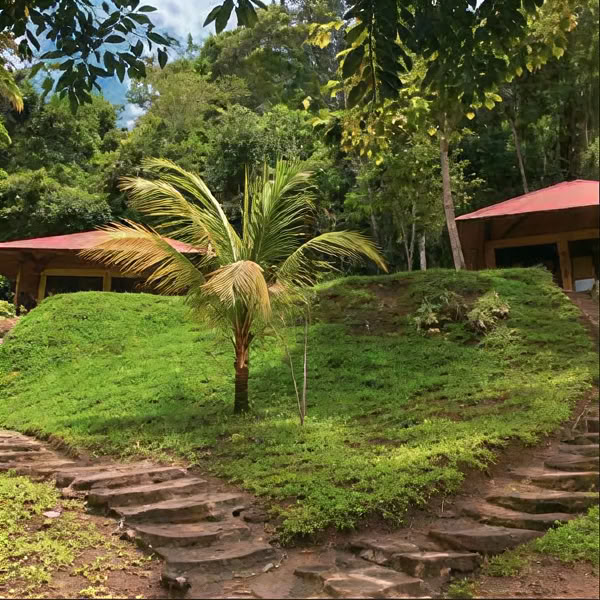 Maloca