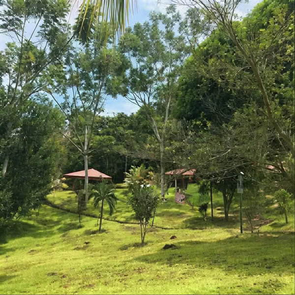 Maloca