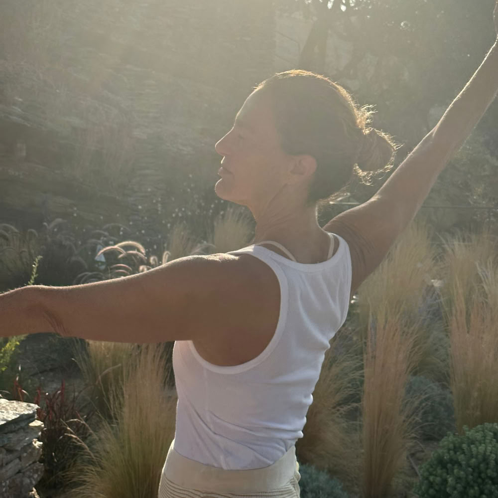 Van Wortel tot Groei: Een Transformatieve Meditatieretraite