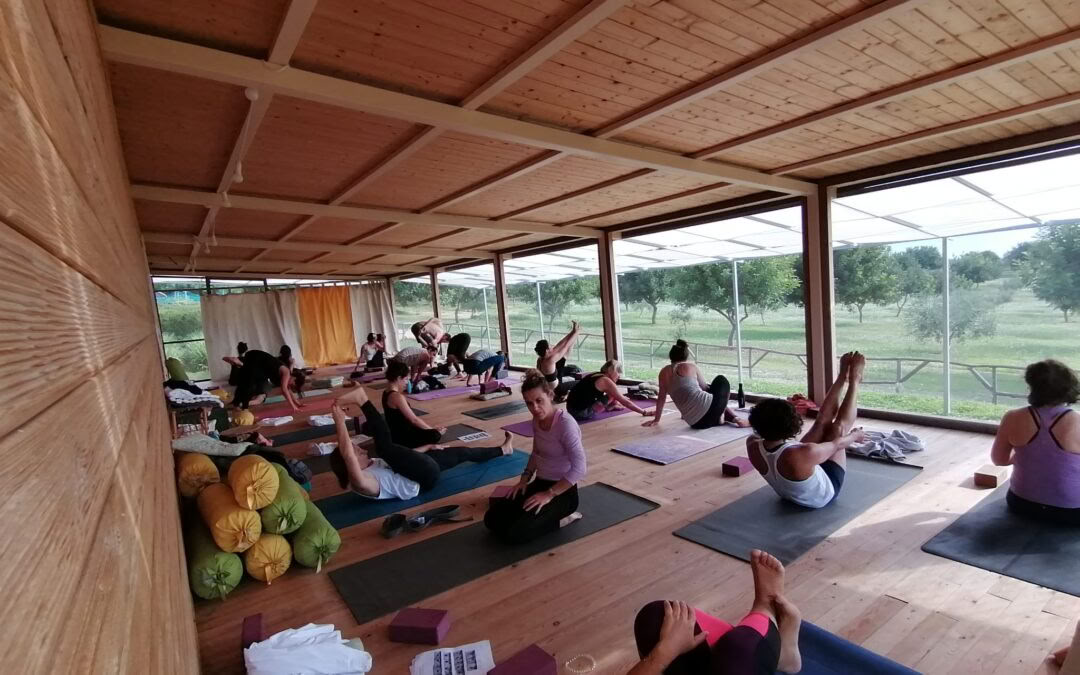 Citrusgeur Retreat - yoga & kunstreis