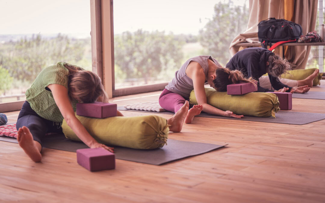 Citrusgeur Retreat - yoga & kunstreis
