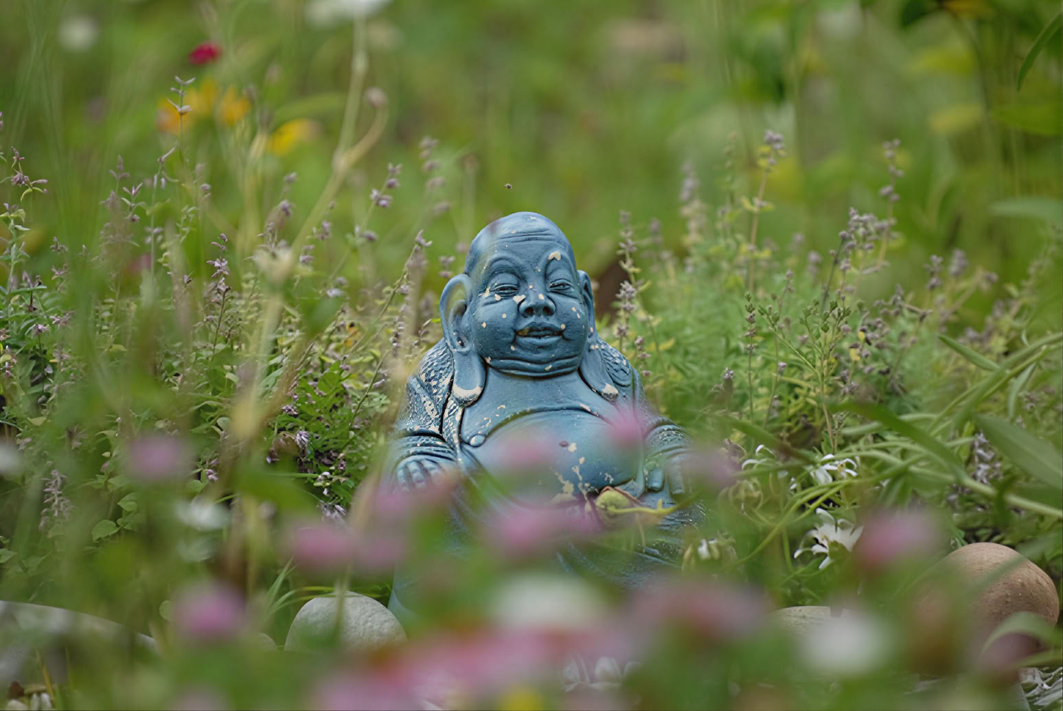 Stille meditatieretraite met Liz Frost: verblijf van 5 nachten