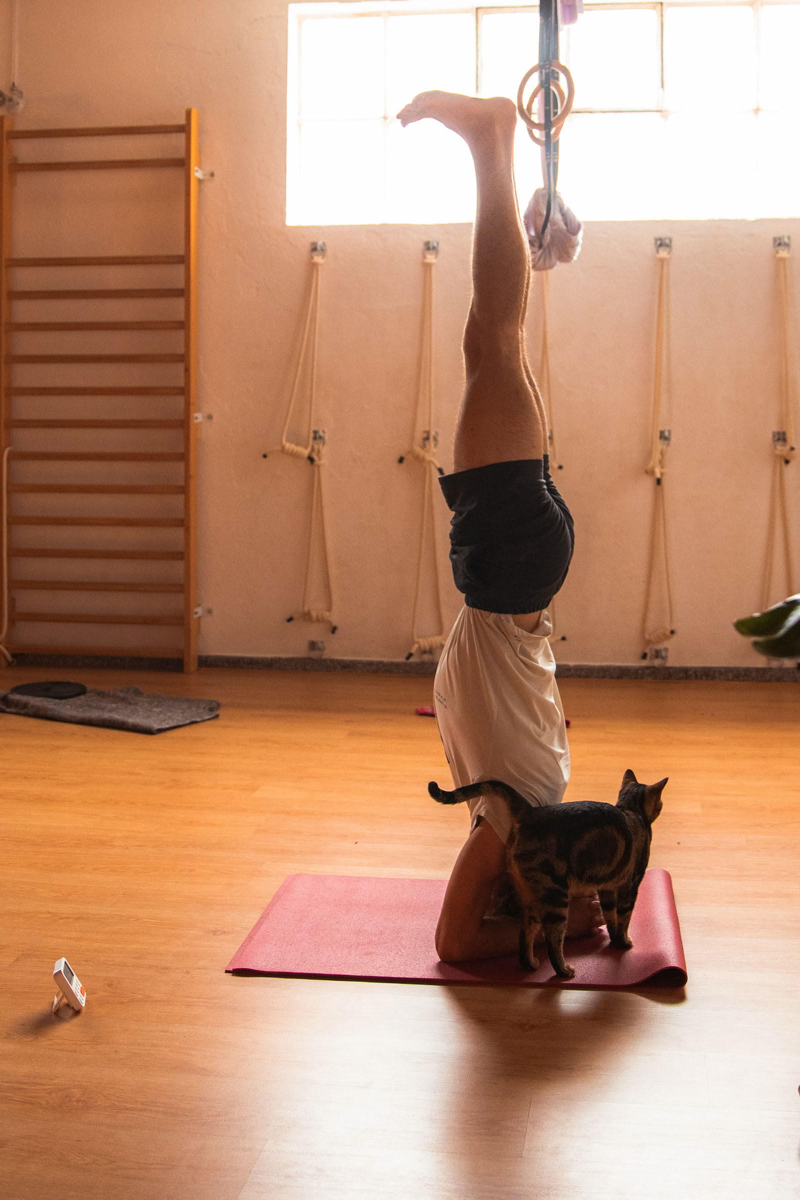 De geheime leven van fascia-workshop