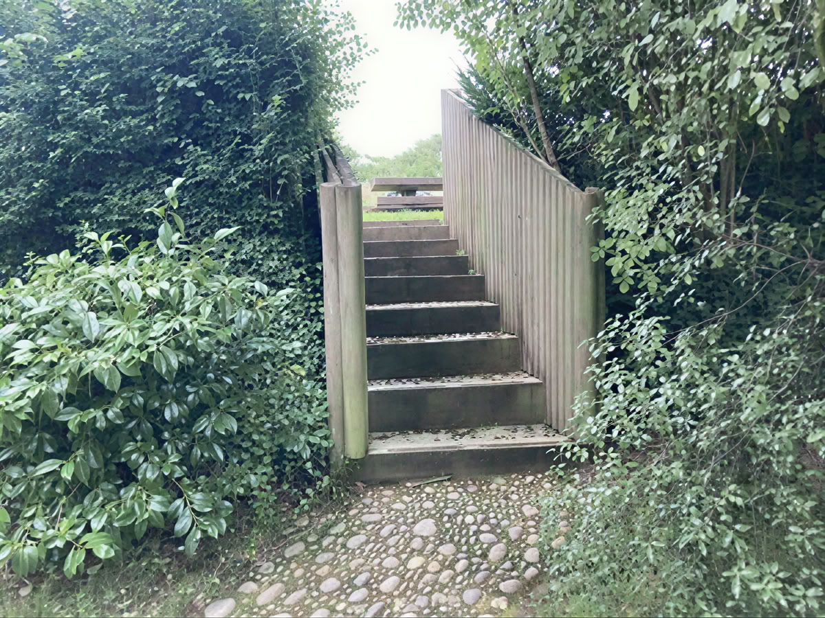 Leven vanuit het Hart Retreat met Tallulah Rendall